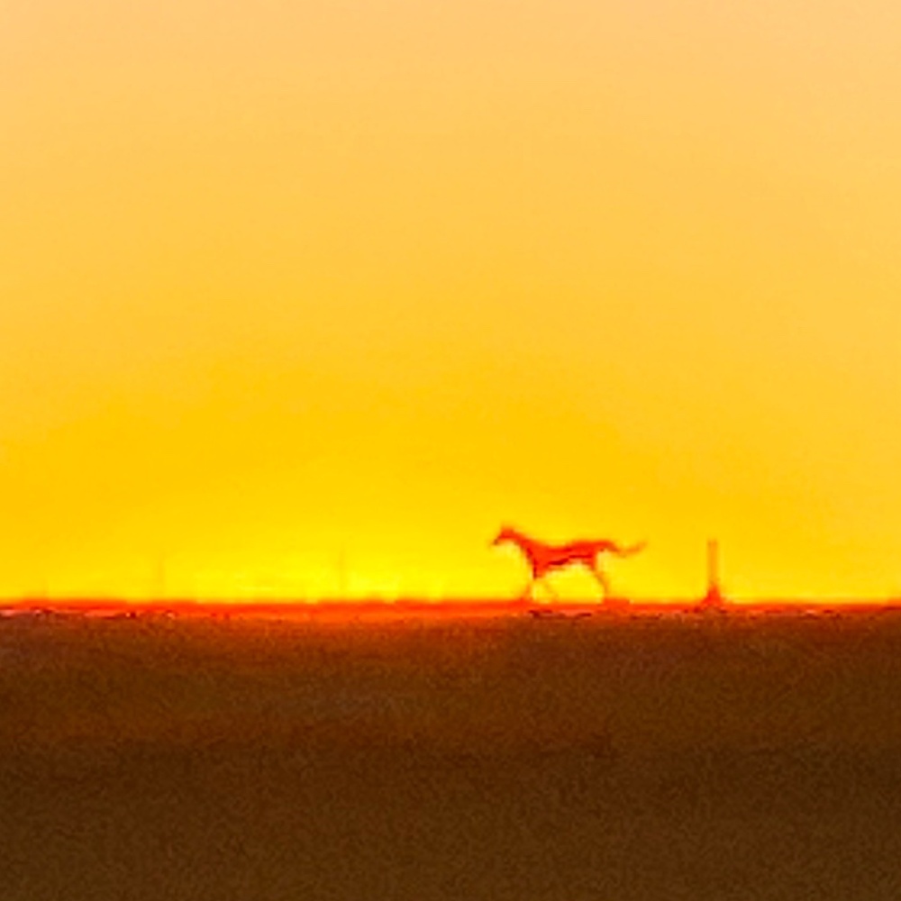 Meet your Posher, Linden